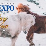Western States Horse Expo