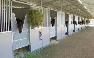 MD Barnmaster Shedrow Barn 10