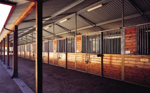 MD Barnmaster Shedrow Barn 11