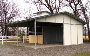 MD Barnmaster Shedrow Barn 4