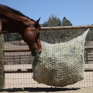 Freedom Feeder Extended Day Net - 8 Flakes