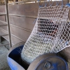 Freedom Feeder Extended Day Net - 8 Flakes