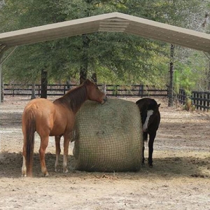 Freedom Feeder Round Bales