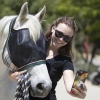UViator Fly Mask & Halter combo
