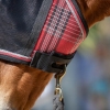 UViator Fly Mask & Halter combo