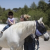 UViator Fly Mask & Halter combo