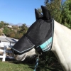 UViator Fly Mask & Halter combo w/Nose & Ears