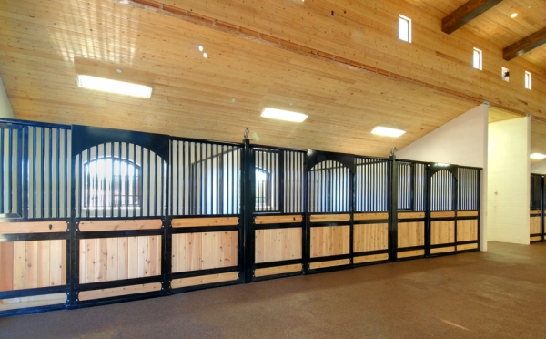 Elite Stall Fronts - MD Barnmaster - Build a Better Barn