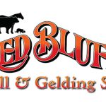 Red Bluff Bull & Gelding sale