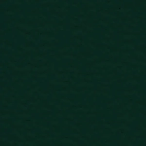 Forest Green 1 Paint Chip Texture